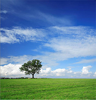 1_environment